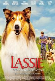 Lassie - Una nuova avventura (2024) .mkv HD 720p E-AC3 iTA DTS AC3 ENG x264 - FHC