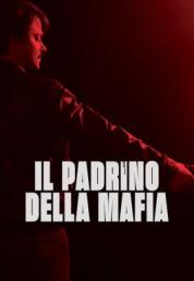 Il padrino della mafia (2020) .mkv FullHD 1080p AC3 iTA DTS AC3 FRE x264 - FHC