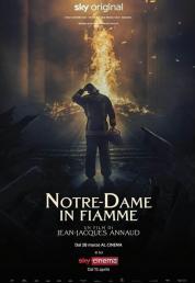 Notre-Dame in fiamme (2022) .mkv HD 720p AC3 iTA DTS AC3 FRE x264 - FHC