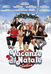 Vacanze di Natale a Cortina (2011) BluRay RIP 1080p AVC DTS-HD MA ITA AC3 ITA - UBi