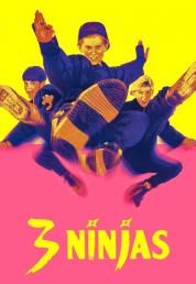 Tre ragazzi ninja (1992).mkv WEB-DL 1080p E-AC3+AC3 2.0 iTA ENG [Bullitt]