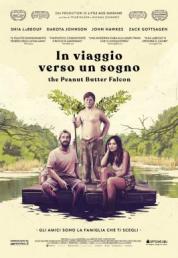 In viaggio verso un sogno (2019) FullHD Untouched 1080p AC3 iTA DTS-HD AC3 ENG AVC - FHC