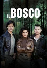 Il bosco - Miniserie (2015).mkv 1080p WEBDL ITA SUBS