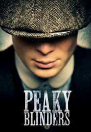 Peaky Blinders (2013-2022) - Serie Completa (6 Stagioni) .mkv 1080p WEB-DL DDP 2.0/5.1 iTA ENG H264 - FHC