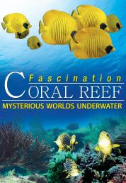 Fascination Coral Reef - Mysterious Worlds Underwater (2013) HDRip 1080p DTS ITA ENG + AC3 Sub - DB