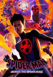 Spider-Man: Across the Spider-Verse (2023) .mkv FullHD Untouched 1080p DTS-HD MA AC3 iTA ENG AVC - FHC
