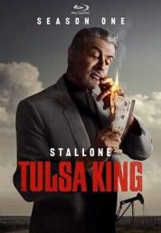 Tulsa King - Stagione 1 (2022)[1/9].mkv BluRay 1080p Untouched AC3 ITA TrueHD ENG SUBS