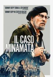 Il caso Minamata (2020) .mkv FullHD 1080p AC3 iTA ENG HEVC x265 - FHC