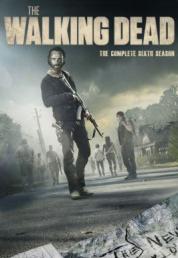 The Walking Dead - Stagione 6 (2015) Completa 1080p WEB-DL AAC iTA E-AC3 ENG x264 - DDN