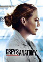 Grey's Anatomy - Stagione 19 (2022).mkv WEBMux 1080p HEVC ITA ENG DDP5.1 x265 [Completa]