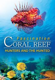 Fascination Coral Reef - Hunters and The Hunted (2012) Full HD Untouched 1080p DTS ITA DTS-HD ENG + AC3 Sub - DB