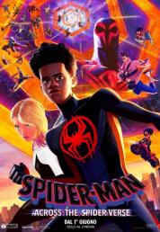 Spider-Man: Across the Spider-Verse (2023) Blu-ray 2160p UHD HDR10 HEVC DTS-HD MA 5.1 iTA Dolby TrueHD 7.1 ENG