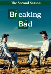 Breaking Bad - Reazioni collaterali - Stagione 3 (2010) 3x Full Bluray AVC DD 5.1 iTA DTS-HD 5.1 ENG - FHC