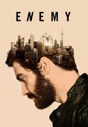 Enemy (2013) .mkv FullHD 1080p DTS AC3 iTA ENG x264 - FHC