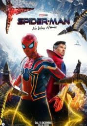 Spider-Man: No Way Home (2021) .mkv FullHD 1080p AC3 iTA ENG x265 - DDN