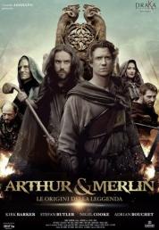 Arthur & Merlin - Le origini della leggenda (2015) BDRA BluRay Full AVC DD ITA DTS-HD ENG - DB