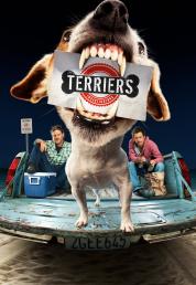 Terriers - Cani sciolti - Stagione Unica (2010).mkv 1080p HEVC WEBDL DDP5.1 ITA ENG SUBS