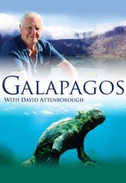 Galapagos 3D (2013) BDRA 3D BluRay Full DTS-HD ITA ENG - DB