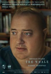 The Whale (2022) .mkv FullHD Untouched 1080p DTS-HD 5.1 AC3 iTA ENG AVC - FHC
