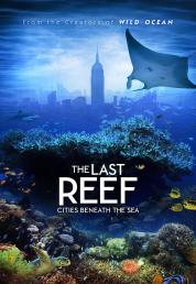 The Last Reef 3D (2012) BDRA BluRay 3D 2D Full DTSHD ITA ENG - DB