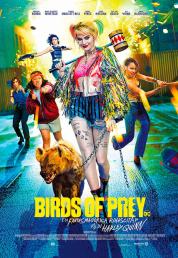Birds of Prey e la fantasmagorica rinascita di Harley Quinn (2020) .mkv HD 720p AC3 DTS  ITA AC3  ENG x264 DDN