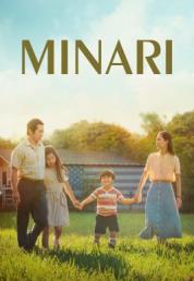 Minari (2020) .mkv FullHD Untouched 1080p DTS-HD MA AC3 iTA KOR AVC - DDN