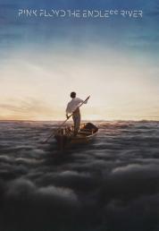 Pink Floyd - The Endless River (2014) BluRay Full AVC LPCM DTS-HD Eng