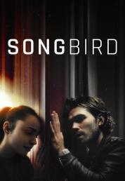 Songbird (2020) .mkv FullHD 1080p AC3 iTA ENG HEVC x265 - DDN