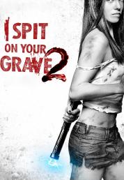 I Spit on Your Grave 2 (2013) .mkv HD 720p DTS AC3 iTA ENG x264 - FHC