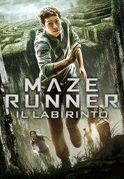 Maze Runner - Il labirinto (2014) Blu-ray 2160p UHD HDR10 HEVC DTS 5.1 iTA/SPA/GER DTS-HD 7.1 ENG