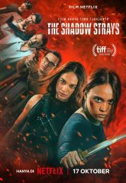 The Shadow Strays (2024).mkv 1080p WEB-DL DDP 5.1 iTA IND H264 - FHC