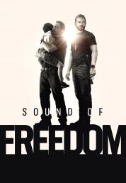 Sound of Freedom (2023) .mkv HD 720p E-AC3 iTA AC3 ENG x264 - FHC