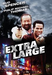 Detective Extralarge - Serie Completa (1991-1993)[1/2] Full Bluray AVC DTS-HD MA ITA ENG