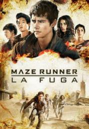 Maze Runner - La fuga (2015) BluRay 1080p AVC DTS-HD MA7.1