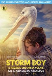 Storm Boy - Il ragazzo che sapeva volare (2019) .mkv FullHD Untouched 1080p AC3 iTA DTS-HD MA AC3 ENG AVC - DDN