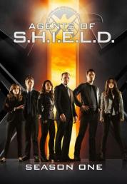 Agents of S.H.I.E.L.D. - Stagione 1 (2014) .mkv 720p WEB-DL E-AC3 iTA ENG x264 - FHC