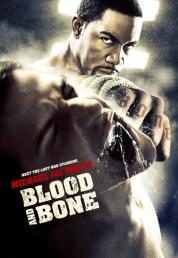 Blood and Bone (2009) FULL HD VU 1080p DTS-HD MA+AC3 5.1 ENG E-AC3+AC3 5.1 iTA (Resync) SUBS iTA [Bullitt]