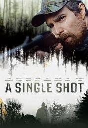 A Single Shot (2013) DVD9 Copia 1:1 ITA