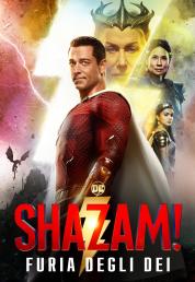 Shazam! Furia degli dei (2023) Full Bluray AVC DTS-HD MA 5.1 iTA Dolby TrueHD 7.1 ENG