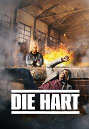 Die Hart Il Film (2023) .mkv 1080p WEB-DL DDP 5.1 iTA ENG H264 - FHC