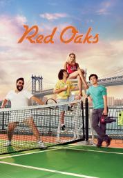 Red Oaks - Serie Completa (2014-2017).mkv 1080p WEBDL DDP5.1 ITA ENG SUBS