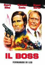 Il boss (1973) BluRay Full AVC DTS-HD ITA DD ENG