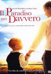 Il Paradiso Per Davvero (2014) Bluray Full AVC DTS HD MA ITA ENG Sub