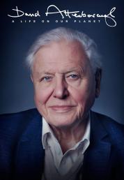 David Attenborough- Una vita sul nostro pianeta (2020) WEB-DL DV/HDR10 2160p EAC3 ITA ENG SUBS