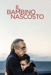 Il bambino nascosto (2021) .mkv FullHD 1080p DTS-HD MA AC3 iTA x264 - DDN