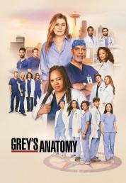 Grey's Anatomy - Stagione 21 (2024)[1/?].mkv 720p WEBDL DDP5.1 ITA ENG SUBS