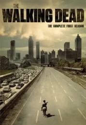 The Walking Dead - Stagione 1 (2010) Completa 720p WEB-DL AAC iTA E-AC3 ENG x264 - DDN