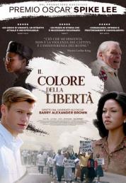 Il colore della libertà (2020) .mkv HD 720p DTS AC3 iTA ENG x264 - FHC