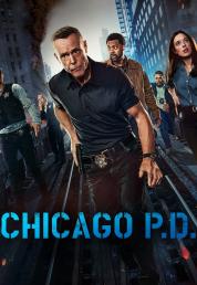 Chicago P.D. - Stagione 12 (2024)[1/?].mkv 1080p WEBDL ITA ENG SUBS