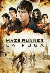 Maze Runner - La fuga (2015) FullHD 1080p AC3 DTS ITA ENG Subs DDN